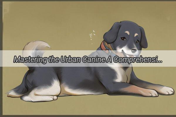 Mastering the Urban Canine A Comprehensive Guide to Training City Dogs